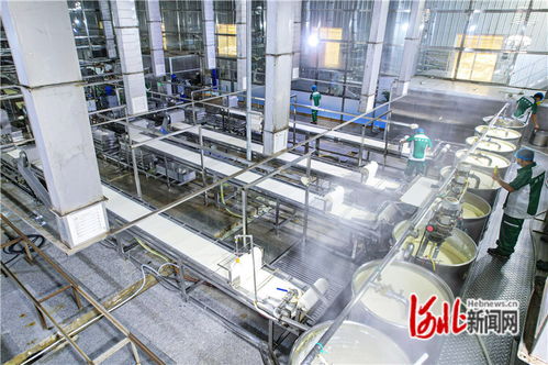 廊坊廣陽 機械化賦能農產品深加工，量子計算技術助力京津菜籃子保供